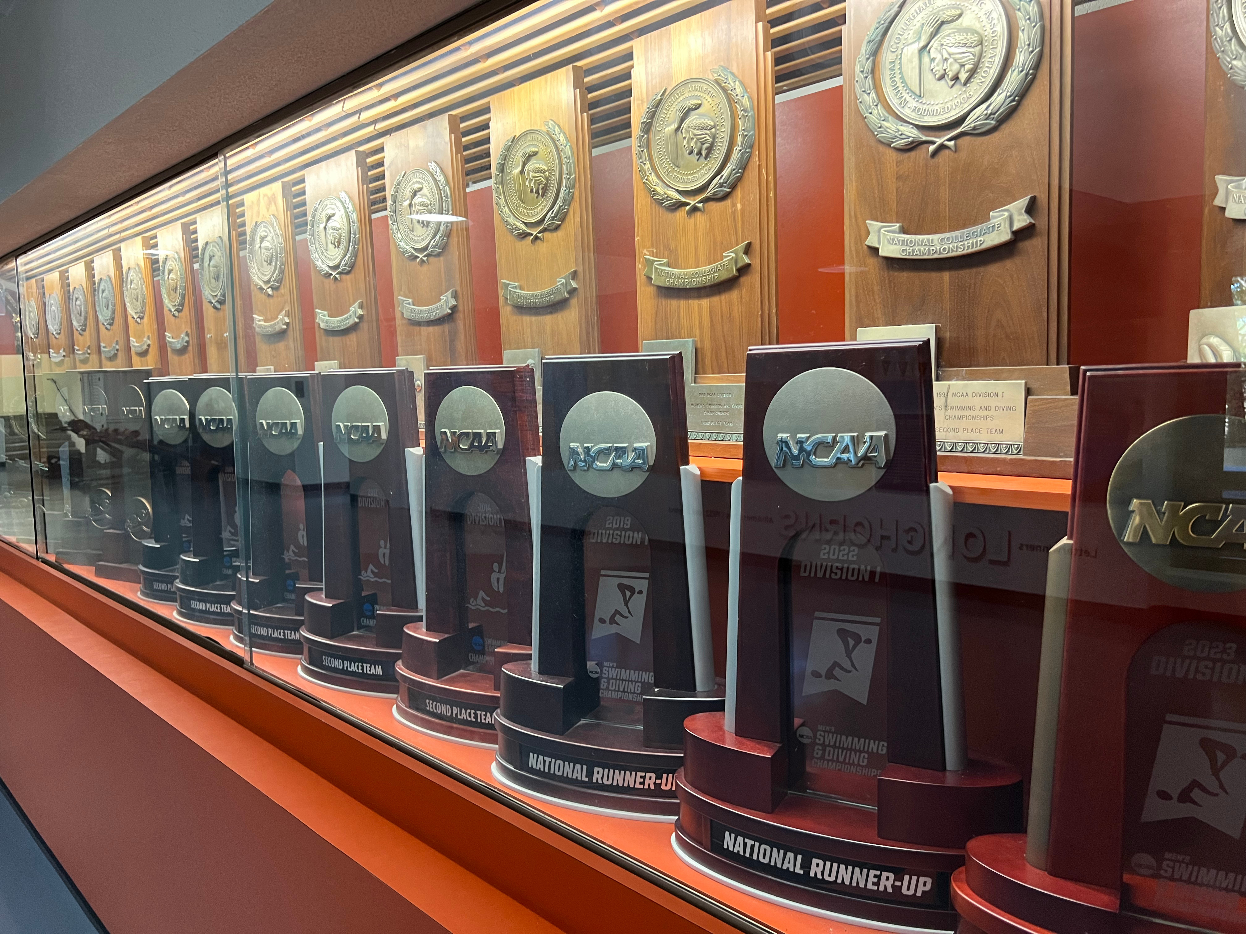 Trophy Wall